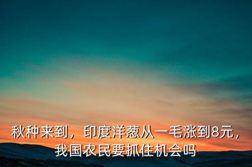 秋種來(lái)到，印度洋蔥從一毛漲到8元，我國(guó)農(nóng)民要抓住機(jī)會(huì)嗎