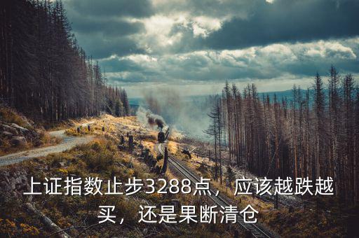 上證指數(shù)止步3288點(diǎn)，應(yīng)該越跌越買，還是果斷清倉