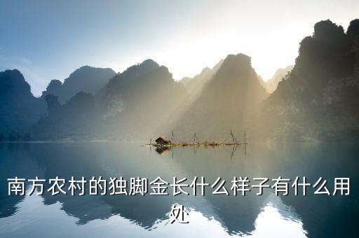 黃金長什么樣子,南方農(nóng)村的獨腳金長什么樣子