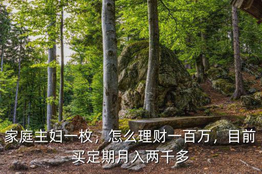 家庭主婦一枚，怎么理財一百萬，目前買定期月入兩千多