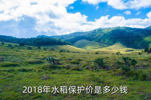 15年水稻保護(hù)價(jià)多少錢(qián),2019年水稻還有保護(hù)價(jià)嗎