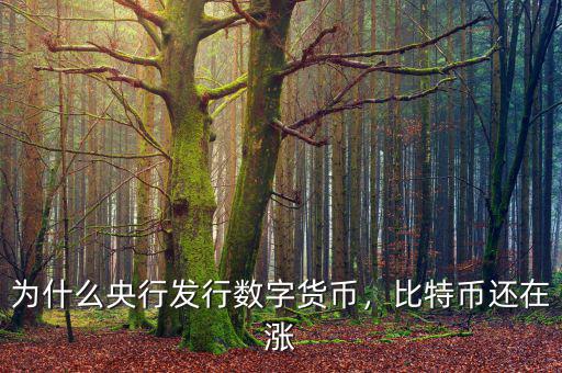 為什么央行發(fā)行數(shù)字貨幣，比特幣還在漲