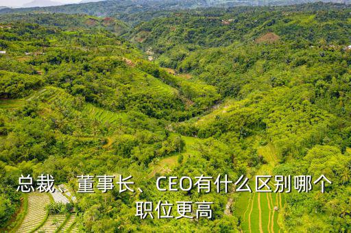總裁、董事長、CEO有什么區(qū)別哪個職位更高