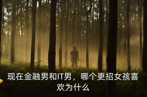 現(xiàn)在金融男和IT男，哪個更招女孩喜歡為什么