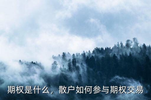 期權是什么，散戶如何參與期權交易