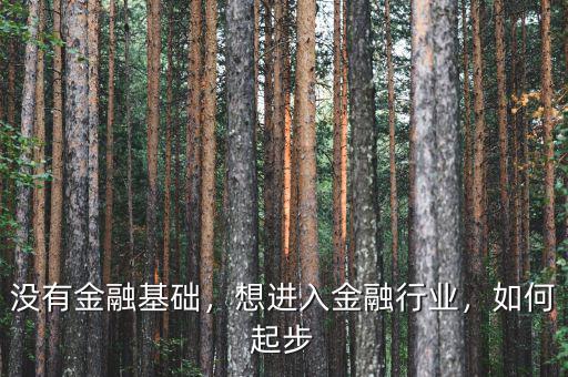 沒(méi)有金融基礎(chǔ)，想進(jìn)入金融行業(yè)，如何起步