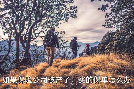 如果保險(xiǎn)公司破產(chǎn)了，買的保單怎么辦