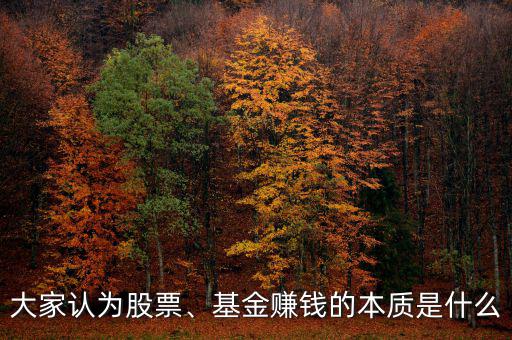 大家認(rèn)為股票、基金賺錢(qián)的本質(zhì)是什么