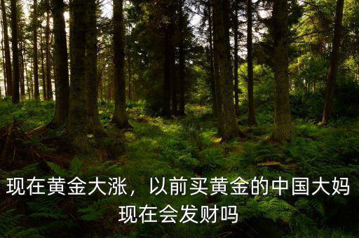 現(xiàn)在黃金大漲，以前買(mǎi)黃金的中國(guó)大媽現(xiàn)在會(huì)發(fā)財(cái)嗎