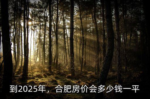 到2025年，合肥房價(jià)會多少錢一平