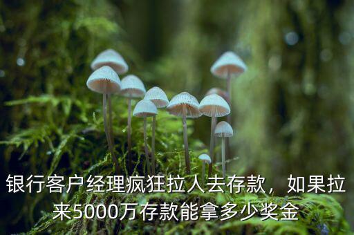 存款多少萬客戶經理會送禮品,銀行客戶經理瘋狂拉人去存款