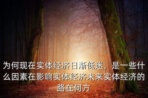 為何現(xiàn)在實(shí)體經(jīng)濟(jì)日漸低迷，是一些什么因素在影響實(shí)體經(jīng)濟(jì)未來(lái)實(shí)體經(jīng)濟(jì)的路在何方