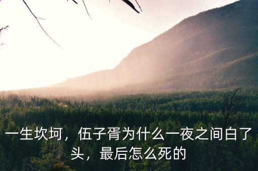 一生坎坷，伍子胥為什么一夜之間白了頭，最后怎么死的