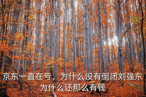 京東一直在虧，為什么沒有倒閉劉強東為什么還那么有錢