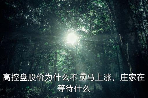 高控盤(pán)股價(jià)為什么不立馬上漲，莊家在等待什么