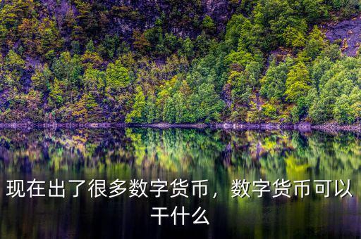 現(xiàn)在出了很多數(shù)字貨幣，數(shù)字貨幣可以干什么