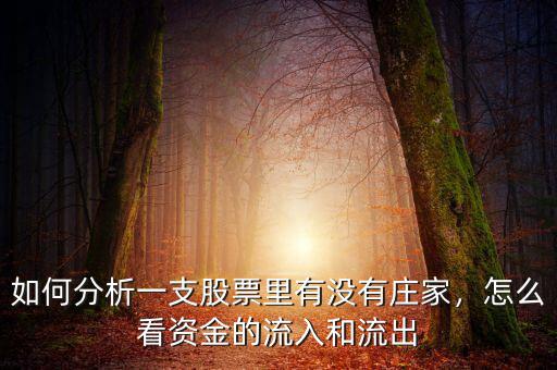 如何分析一支股票里有沒(méi)有莊家，怎么看資金的流入和流出