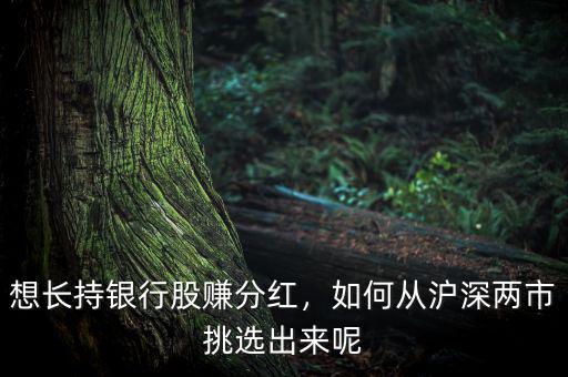 想長持銀行股賺分紅，如何從滬深兩市挑選出來呢
