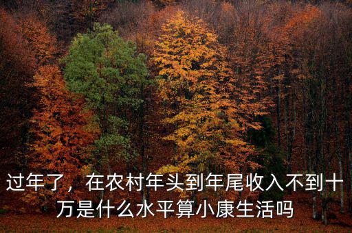 過年了，在農(nóng)村年頭到年尾收入不到十萬是什么水平算小康生活嗎