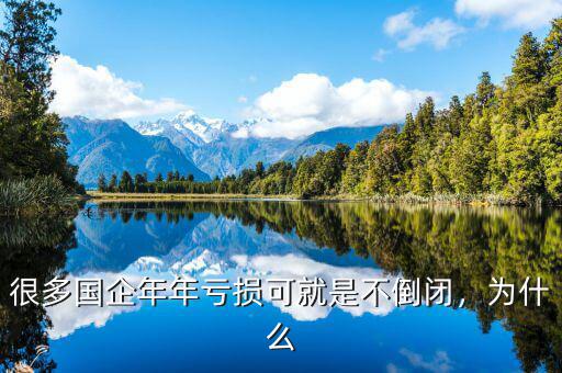 很多國企年年虧損可就是不倒閉，為什么