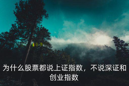 為什么股票都說(shuō)上證指數(shù)，不說(shuō)深證和創(chuàng)業(yè)指數(shù)