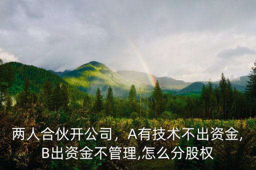 兩人合伙開公司，A有技術(shù)不出資金,B出資金不管理,怎么分股權(quán)
