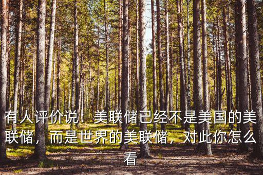 有人評價說：美聯(lián)儲已經(jīng)不是美國的美聯(lián)儲，而是世界的美聯(lián)儲，對此你怎么看