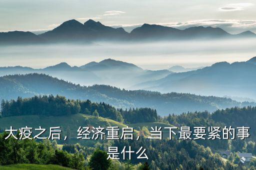 大疫之后，經(jīng)濟重啟，當下最要緊的事是什么