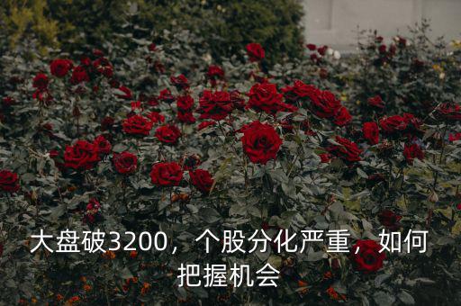 大盤破3200，個股分化嚴(yán)重，如何把握機(jī)會
