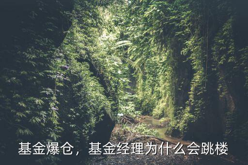 基金爆倉，基金經(jīng)理為什么會(huì)跳樓
