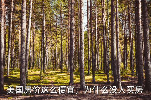 美國房價這么便宜，為什么沒人買房