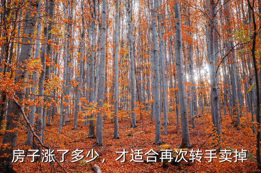 房子漲了多少，才適合再次轉(zhuǎn)手賣掉