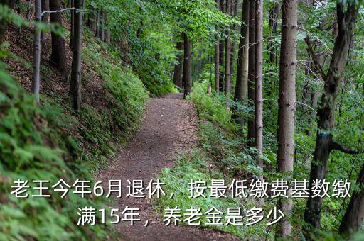 15年繳費多少養(yǎng)老金,按最低繳費基數繳滿15年