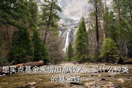 想買點基金來增加點收入，買什么種類的基金好