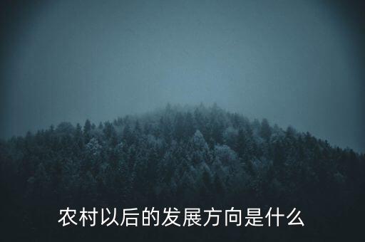 農村以后的發(fā)展方向是什么