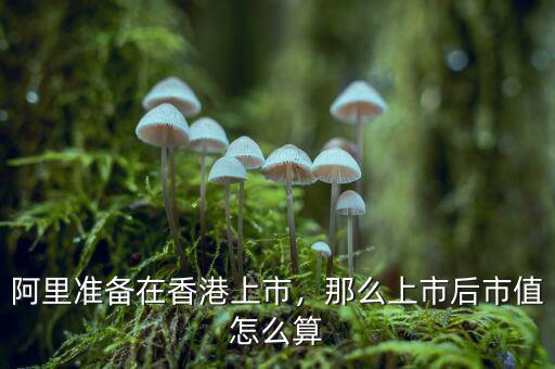 阿里準(zhǔn)備在香港上市，那么上市后市值怎么算