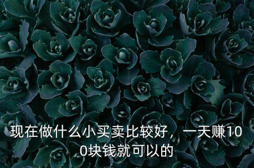 現(xiàn)在轉型期做什么小買賣好,現(xiàn)在做什么小買賣比較好