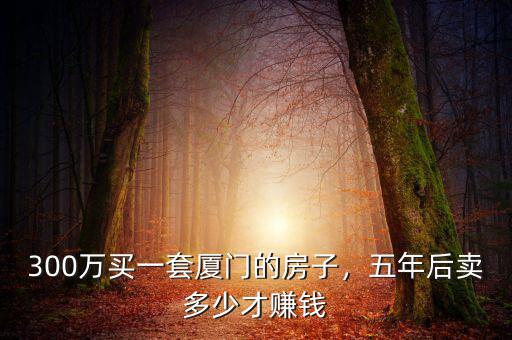 300萬(wàn)買一套廈門的房子，五年后賣多少才賺錢