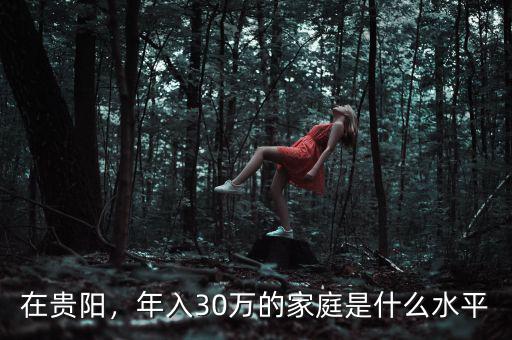 在貴陽，年入30萬的家庭是什么水平