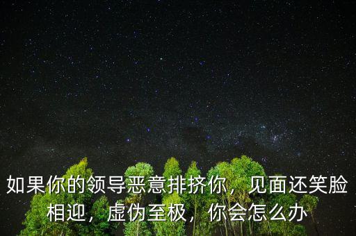 如果你的領(lǐng)導(dǎo)惡意排擠你，見(jiàn)面還笑臉相迎，虛偽至極，你會(huì)怎么辦