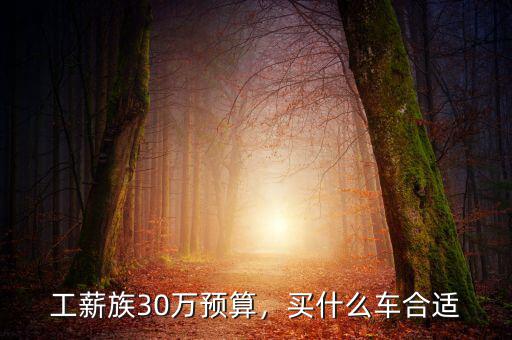 工薪族30萬預算，買什么車合適