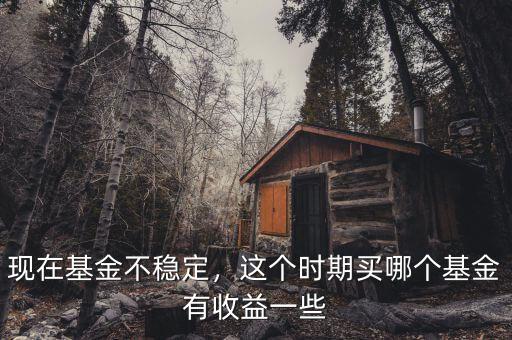 現(xiàn)在基金不穩(wěn)定，這個(gè)時(shí)期買哪個(gè)基金有收益一些