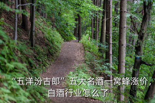 “五洋汾古郎”五大名酒一窩蜂漲價(jià)，白酒行業(yè)怎么了