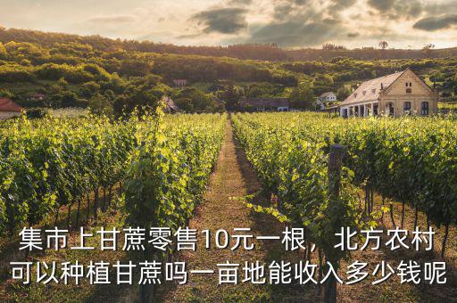 集市上甘蔗零售10元一根，北方農(nóng)村可以種植甘蔗嗎一畝地能收入多少錢呢