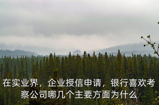 在實(shí)業(yè)界，企業(yè)授信申請(qǐng)，銀行喜歡考察公司哪幾個(gè)主要方面為什么