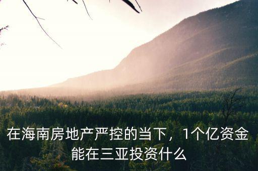在海南房地產(chǎn)嚴(yán)控的當(dāng)下，1個(gè)億資金能在三亞投資什么