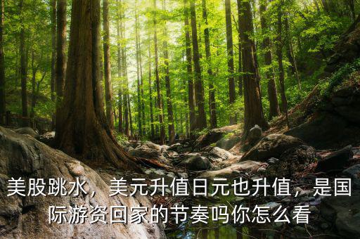美股跳水，美元升值日元也升值，是國際游資回家的節(jié)奏嗎你怎么看