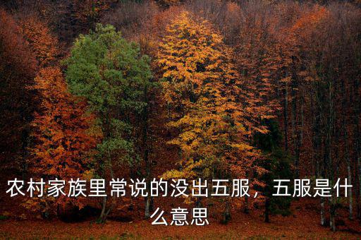 農(nóng)村家族里常說的沒出五服，五服是什么意思