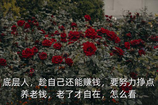 底層人，趁自己還能賺錢，要努力掙點(diǎn)養(yǎng)老錢，老了才自在，怎么看