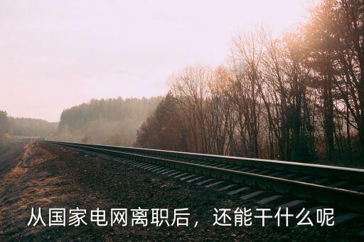 從國家電網(wǎng)離職后，還能干什么呢